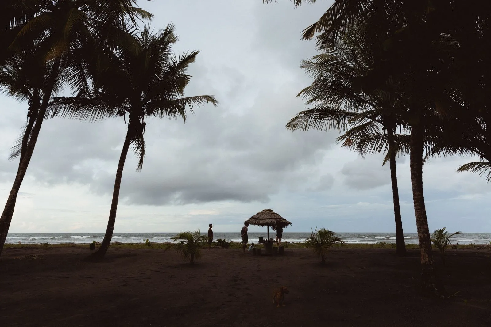 The beach in front of Mawamba — part of a sea-turtle nesting corridor