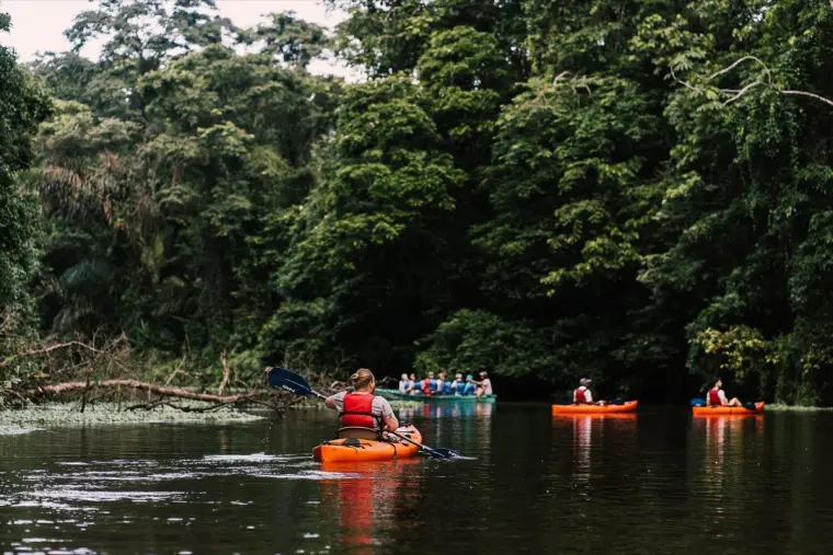 Kayak